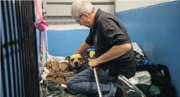  ?? BRANDON HARDER ?? Owner Lance Murphy alongside his dog Missty, who was shot by a Regina police officer.