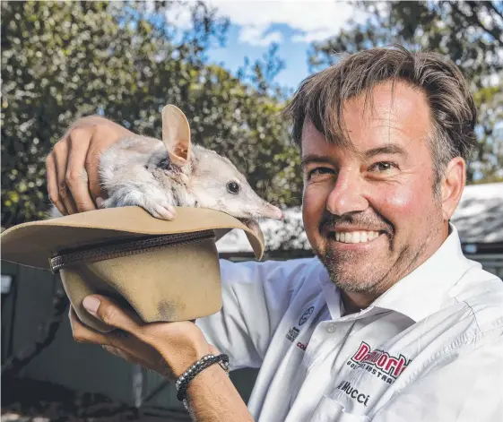  ?? Picture: JERAD WILLIAMS ?? Al Mucci, director of Dreamworld Wildlife Foundation and chairman of the Save the Bilby Fund, with five-year-old Sophie.