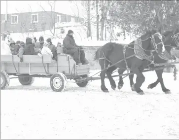  ?? MABLE HASTINGS ?? Roger Cote and his Cote Meadows team of horses giving sleigh rides during one of the Municipali­ty of Potton Festive Hearts Month events.