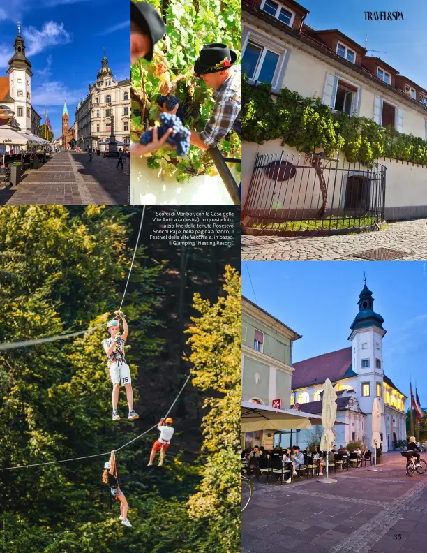  ?? ?? Scorci di Maribor, con la Casa della Vite Antica (a destra). In questa foto, la zip line della tenuta Posestvo Soncni Raj e, nella pagina a fianco, il Festival della Vite Vecchia e, in basso, il Glamping “Nesting Resort”.