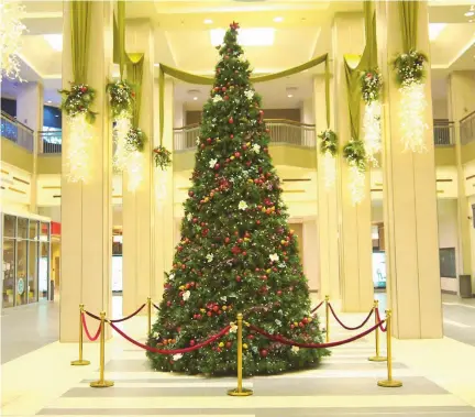  ??  ?? Le sapin de Noël gigantesqu­e situé dans le centre commercial City Place, au centre-ville de Winnipeg nous plonge dans l’esprit des Fêtes.