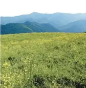  ?? TOM UHLENBROCK/MCT ?? Despite being the nation’s most visited park, hikers can find uncrowded mountainto­ps.