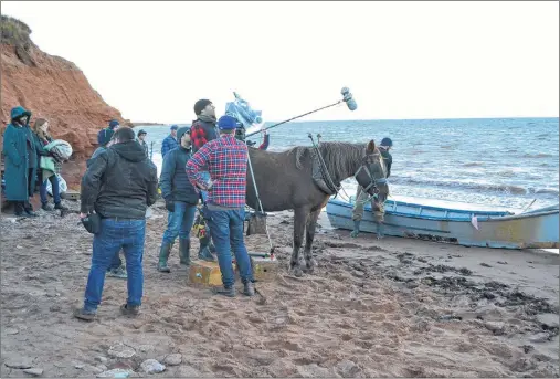  ?? ERIC MCCARTHY/JOURNAL PIONEER ?? Misty the horse was calm and co-operative as cast and crew set up a scene on a North Cape, P.E.I., beach in 2016, while shooting a proof-of-concept film, “A Blessing From the Sea”. The production company is still securing the funding needed to shoot a...