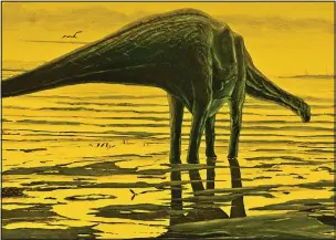  ??  ?? Enjoying a paddle: What the 50ft long sauropods could have looked like