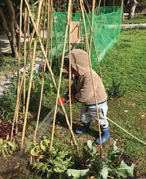  ??  ?? GARDENING may be the simplest way to connect with Mother Earth and Father Sun.