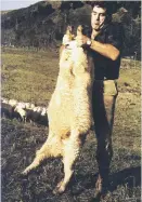  ?? Picture: Gallo Images ?? PINETREE. Colin Meads holds a sheep on his farm in New Zealand.