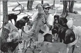  ?? LUIS ANDRES HENAO/AP ?? Rescued dogs flock to Ricardo Pimentel last week at his animal shelter.