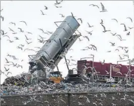  ?? Paul Sancya Associated Press ?? INVESTIGAT­ORS say the body of Zion Foster, who was last seen in January, was placed in a dumpster whose contents wound up at the Pine Tree Acres Landfill.