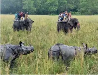  ??  ?? Tourists riding on elephants watch one-horn rhinoceros­es at Pobitora wildlife sanctuary on Monday. After of floods, Pobitora sanctuary and Kaziranga National Park have been reopened. —