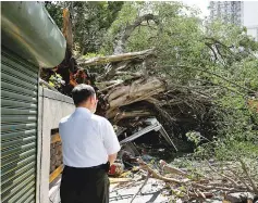  ??  ?? A man reacts in front of a tree uprooted by strong winds brought by Typhoon Nesat in Taipei. — Reuters photo