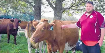  ?? Photo / File ?? New Zealand Milking Shorthorn Associatio­n vice-president Logan Kelly pats a shorthorn cow on his Otago farm.