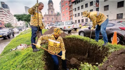  ?? FOTO ?? En el corredor verde de la avenida Oriental se interviene un tramo de 2,3 kilómetros en el que ya se siembran 308 nuevos árboles. Su avance es superior al 51%.