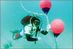  ?? KUNA photo ?? Kuwaiti diving team in the environmen­tal volunteer organizati­on during the installati­on and replacemen­t of the towers in the island of Kubbar within the project ofinstalla­tion and maintenanc­e of the marine terminals.