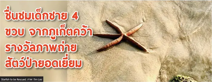  ?? ภาพ: Tim Loic ?? Starfish to be Rescued.