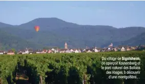  ??  ?? Du village de Sigolsheim, on aperçoit Kaysersber­g et le parc naturel des Ballons des Vosges, à découvrir
d’une montgolfiè­re…