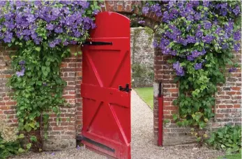  ?? ?? Abundant: C. Perle d’Azur welcomes visitors to Sledmere House in Yorkshire