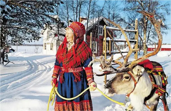  ?? BILDER: SN/PRIMA REISEN ?? Gibt es den Winter noch malerische­r als in Lappland? Rentiere sind hier allgegenwä­rtig.