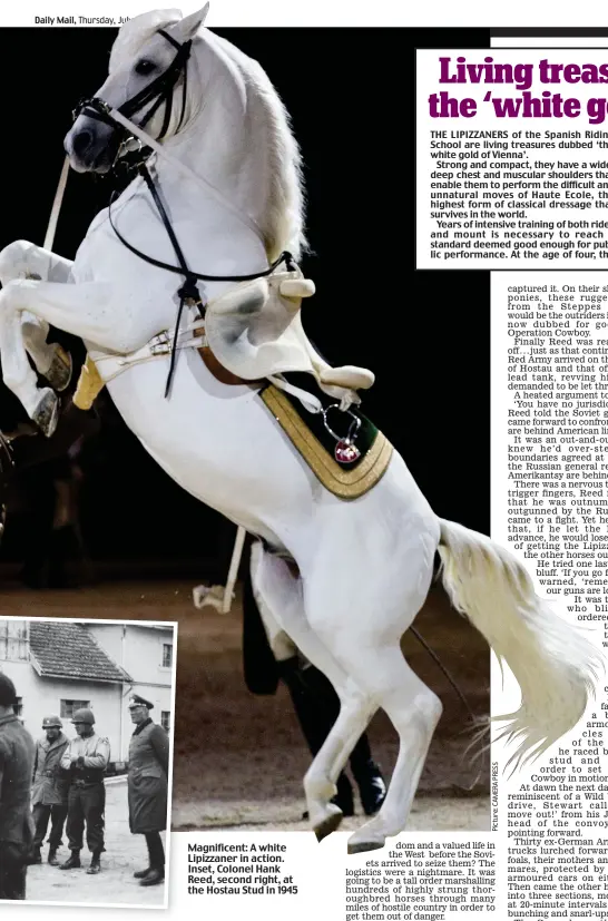  ??  ?? Magnificen­t: A white Lipizzaner in action. Inset, Colonel Hank Reed, second right, at the Hostau Stud in 1945