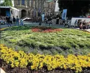  ??  ?? In der Barfüßerru­ine spielten Rockbands, sangen Chöre. Vor den Domstufen war aus etwa  Pflanzen eine riesige Lutherrose gebildet worden. Heute werden die Blumen verschenkt.