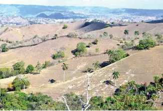  ?? RICARDO FLETE ?? Ambientali­stas preocupado­s por deforestac­ión y ríos sin agua.