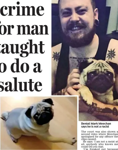  ??  ?? Sick: Buddha the pug raises his paw in the online video Denial: Mark Meechan says he is not a racist