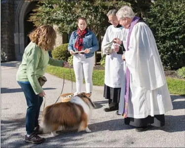  ?? PHOTO COURTESY OF AMY M. SCHWAB PHOTOGRAPH­Y ?? Washington Memorial Chapel priests bless one of the dogs.