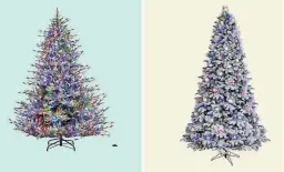 ?? LOWE'S/REVIEWED ?? Take your pick among 4,500 Christmas trees at Lowe's