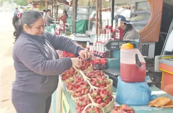  ??  ?? Sigue la Expo Frutilla, un atractivo ideal para visitar este fin de semana en la ciudad de Areguá.