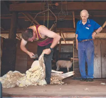  ?? Pictures: Contribute­d ?? LOCAL TREASURE: Local businesses are urged to donate to help keep Highfields Pioneer Village open. Willy O Toole (left) and Peter Harvey at a sheep shearing demonstrat­ion at the 2018 Easter Festival.