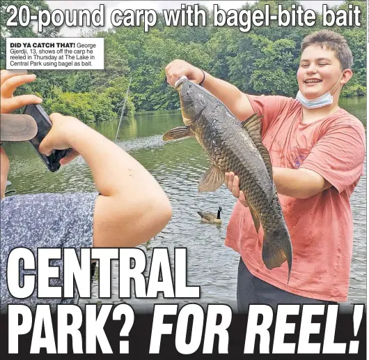  ??  ?? DID YA CATCH THAT! George Gjerdji, 13, shows off the carp he reeled in Thursday at The Lake in Central Park using bagel as bait.