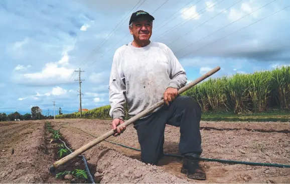  ??  ?? DE- STRESSING EXERCISE: Sam Blanco gets great satisfacti­on working his productive vegie garden with his trusty hoe.