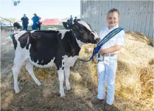  ??  ?? Lily Bawden from Majestic Holsteins Drouin with Grace who placed first in the junior leader class last year.