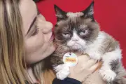  ??  ?? Grumpy Cat is shown with owner Tabatha Bundesen in New York.