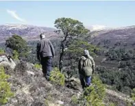  ??  ?? Mar Lodge joint winner of New Native Woods award