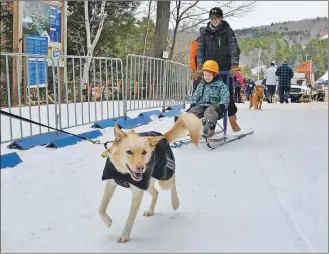  ?? COLIN CHISHOLM ?? Children give micro mushing a try during a break between relays at the East Coast Mushing Jamboree in Martock.