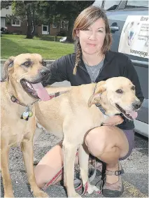  ?? WAYNE CUDDINGTON/OTTAWA CITIZEN ?? Christine Thomson picks up unwanted animals and drives them to where they will be adopted.