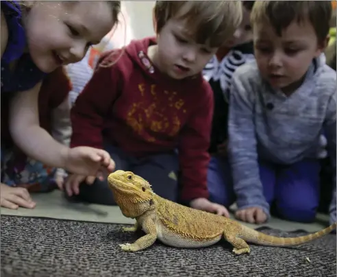  ??  ?? Emelia Holmes, Cillian Hipwell and Patrick Laffan look at a bearded dragon.