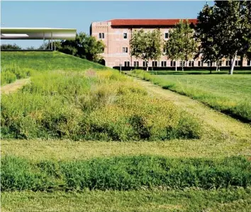  ?? ?? led with native species of wildflower­s and grasses.