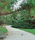  ??  ?? Il recupero Si tratta di uno dei più importanti giardini botanici privati italiani dell’800