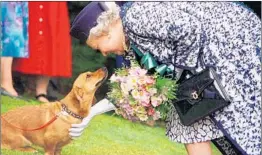  ?? AP 1998 ?? The corgis have helped to humanize Queen Elizabeth II, who has been viewed as distant.