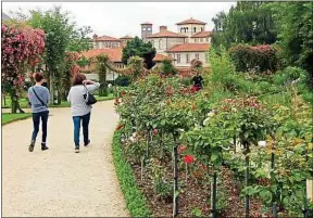  ??  ?? Le parc rennais du Thabor a expédié 1 436 échantillo­ns de graines en 2018.