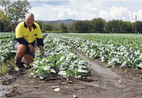  ?? Photo: Meg Bolton ?? TOUGH TIMES: Greg Lerch at his farm in Laidley.