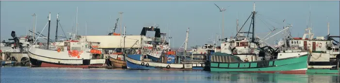  ?? PICTURES: HENK KRUGER/ANA ?? Commercial fishing boats in Saldanha Harbour next to the Sea Harvest factory.