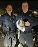  ?? Photograph: AP ?? In this photo released by the Springfiel­d police department, two officers hold a lemur they captured with a towel, in Springfiel­d, Missouri, on 12 September 2023.