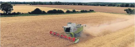  ?? Picture: PA. ?? Barley is the second most important crop in UK agricultur­e.