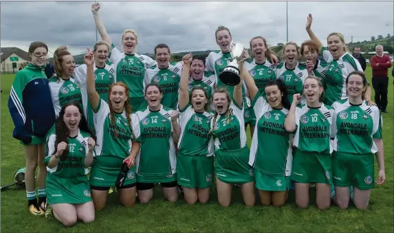  ??  ?? The Avondale camogie team who made the move to Senior after victory over Kiltegan in Baltinglas­s in the Intermedia­te final on Saturday afternoon.