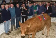  ??  ?? LEFT: James O’Connor whose heifer was the supreme champion of the Heifer Weanling Show and Sale at Gortalea Mart, on Wednesday evening. Presenting John with his prize is Jeremiah Daly (Dover A Sponsor) with, from left, John Cahalane (Byer) Maurice...