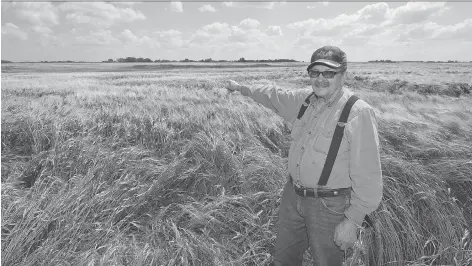  ?? TROY FLEECE FILES ?? Edwin Fuhr, a retired farmer, returned in July to the field where he says he had a close encounter with several UFOs in 1974. Fuhr’s story made internatio­nal news and is one of the most documented UFO cases in Canadian history.