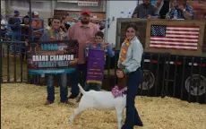  ?? Sara Waite / Sterling Journal-advocate ?? Hadley Stull's Grand Champion Goat sold for $4,000 to First National Bank of Fleming at the Bud Van Berg Memorial 4-H/FFA Junior Livestock Sale.