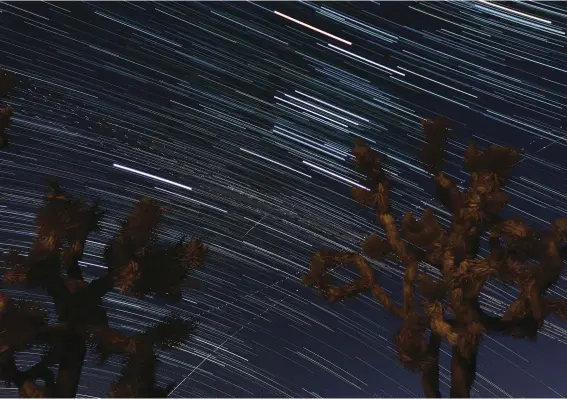  ??  ?? Stars glittered like diamonds flung on black velvet during our pre-dawn sky-watching session. In the desert darkness, we captured this time-lapsed photo of star trails as they shot across the desert sky.